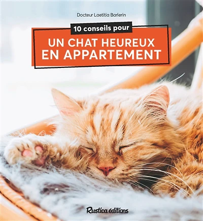 10 conseils pour un chat heureux en appartement