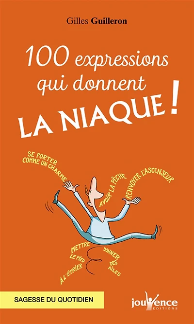100 expressions qui donnent la niaque ! : sagesse du quotidien