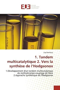 1. Tandem multicatalytique 2. Vers la synthèse de l'Hodgsonox : 1.Développement d'un tandem multicatalytique de méthylénation-couplage de Heck 2.Approche synthétiqu