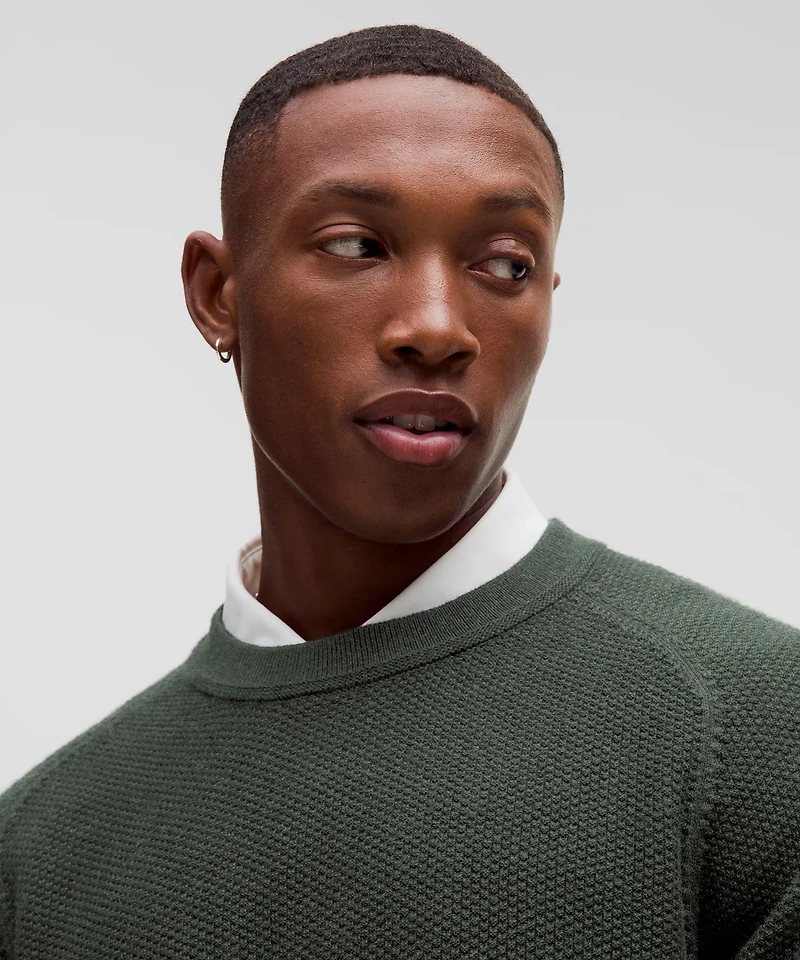 Textured Knit Crewneck Sweater | Men's Sweaters