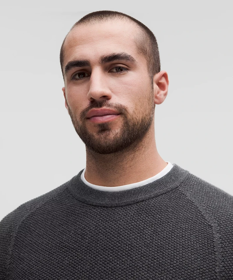 Textured Knit Crewneck Sweater | Men's Sweaters