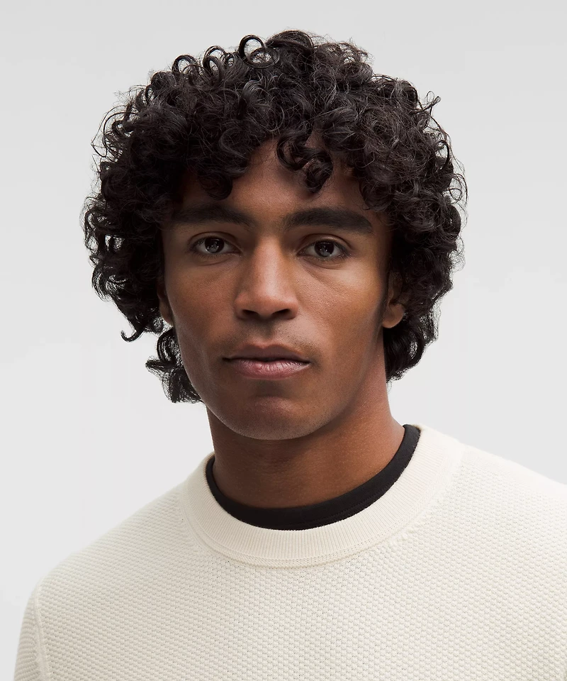 Textured Knit Crewneck Sweater | Men's Sweaters