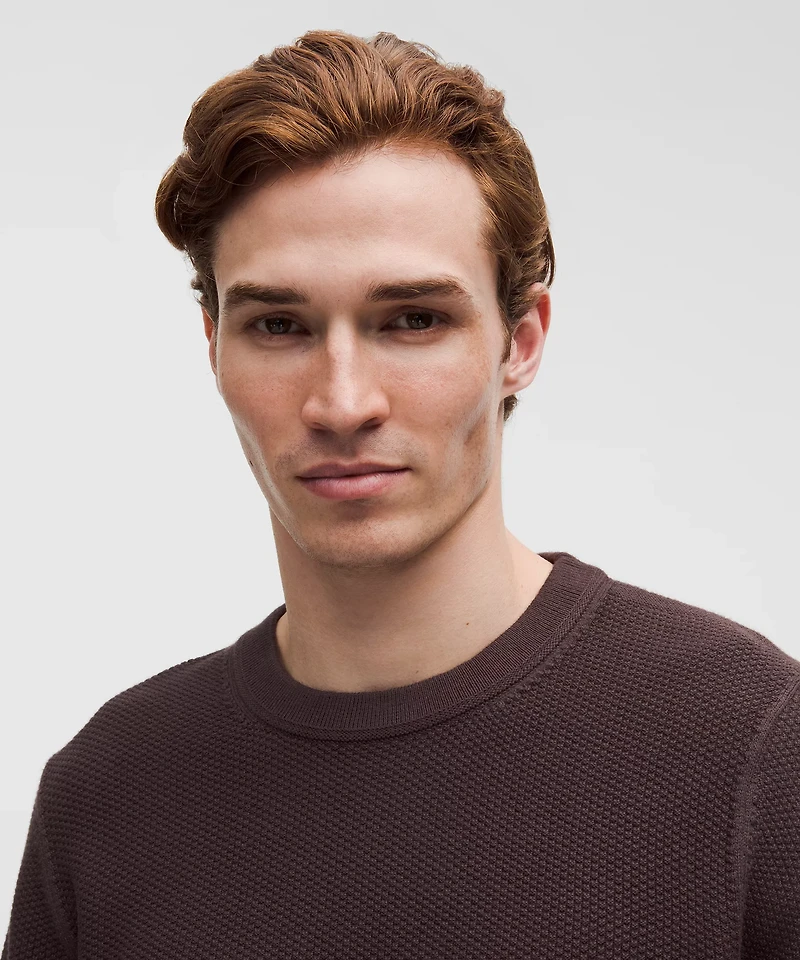 Textured Knit Crewneck Sweater | Men's Sweaters