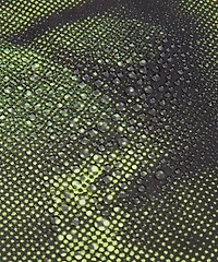 Dual-Length Waterproof Jacket *SLNSH Collection