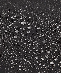 LA Insulated Jacket *Erewhon