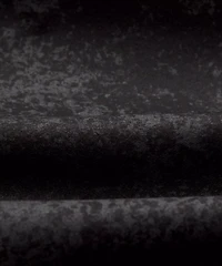 Zeroed Linerless Short 5"