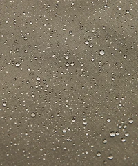 Zero Tucks Relaxed-Fit Short 8"