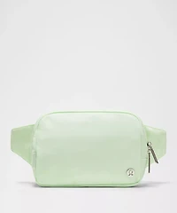 Everywhere Belt Bag Large 2L