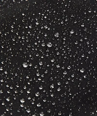 Lightweight Cinch-Waist Rain Coat