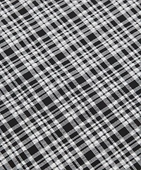 Seersucker Check Mid-Rise Pull-On Pant | Women's Pants