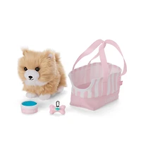 Raquel Reyes™ Gift Set (Girl of the Year™ 2026)