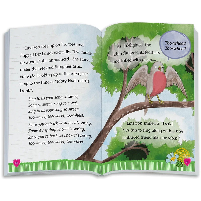 The Riddle of the Robin Book (WellieWishers™)