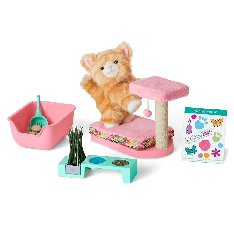 Cat Care Essentials