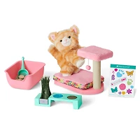 Cat Care Essentials