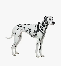 Pet Harness in Visetos