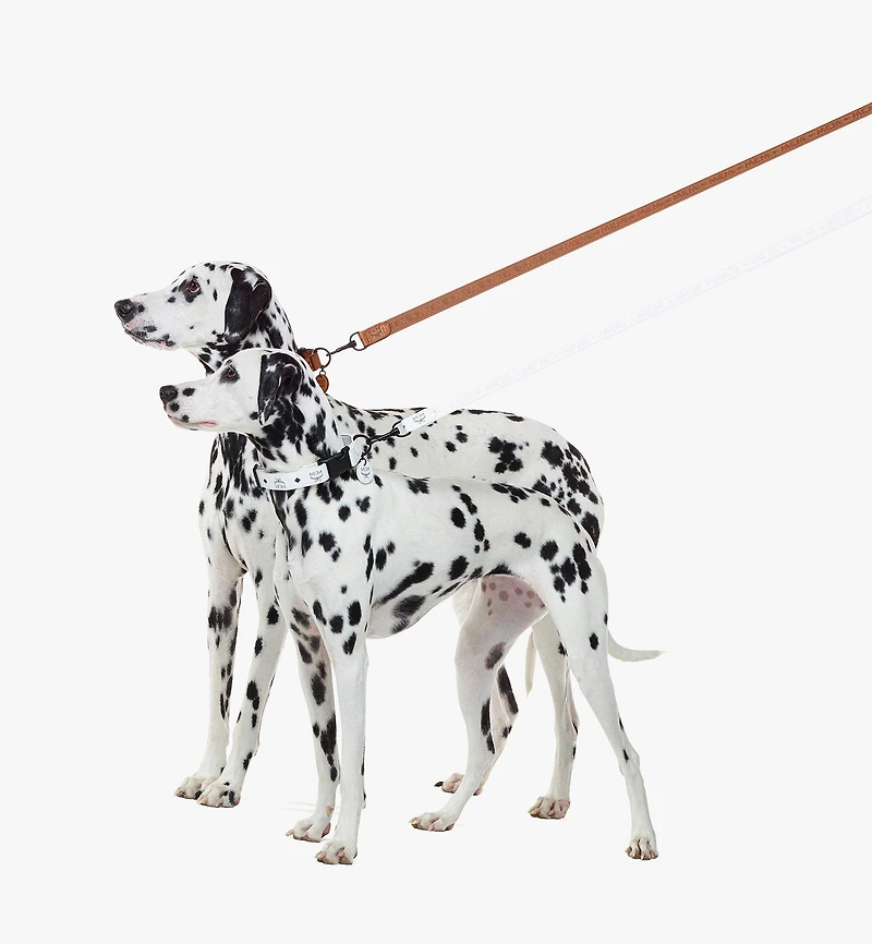 Pet Leash Visetos