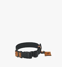 Pet Collar and Crossbody Leash in Visetos