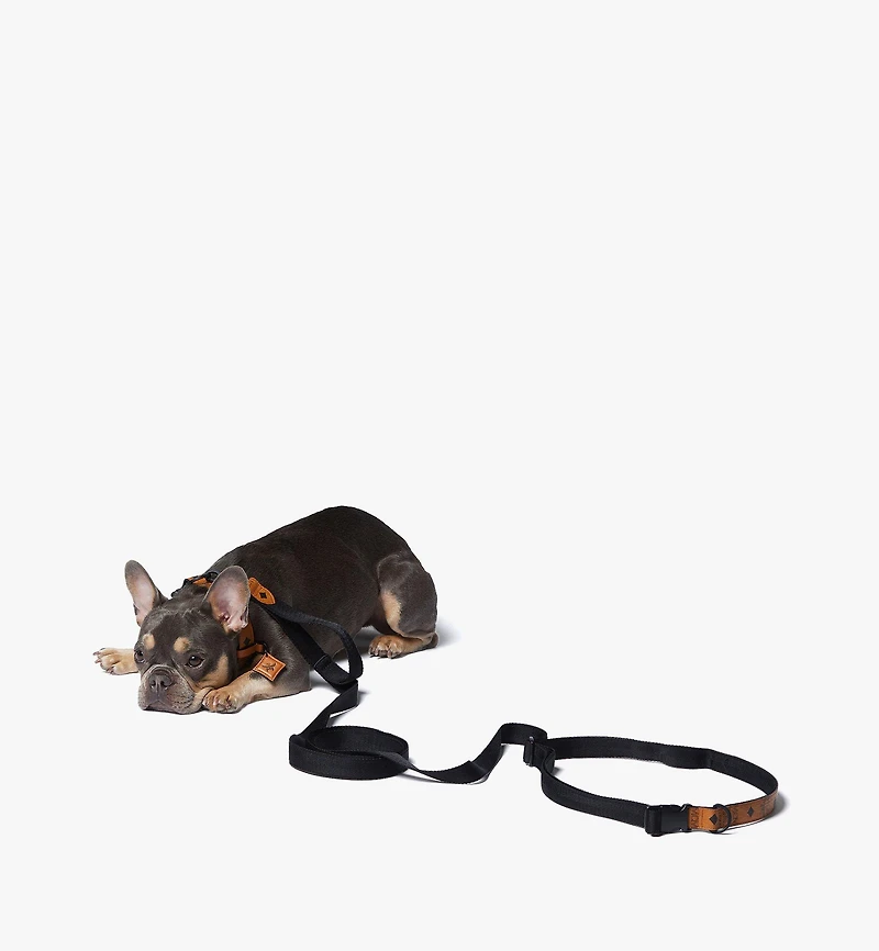 Pet Collar and Crossbody Leash in Visetos