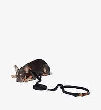 Pet Collar and Crossbody Leash in Visetos