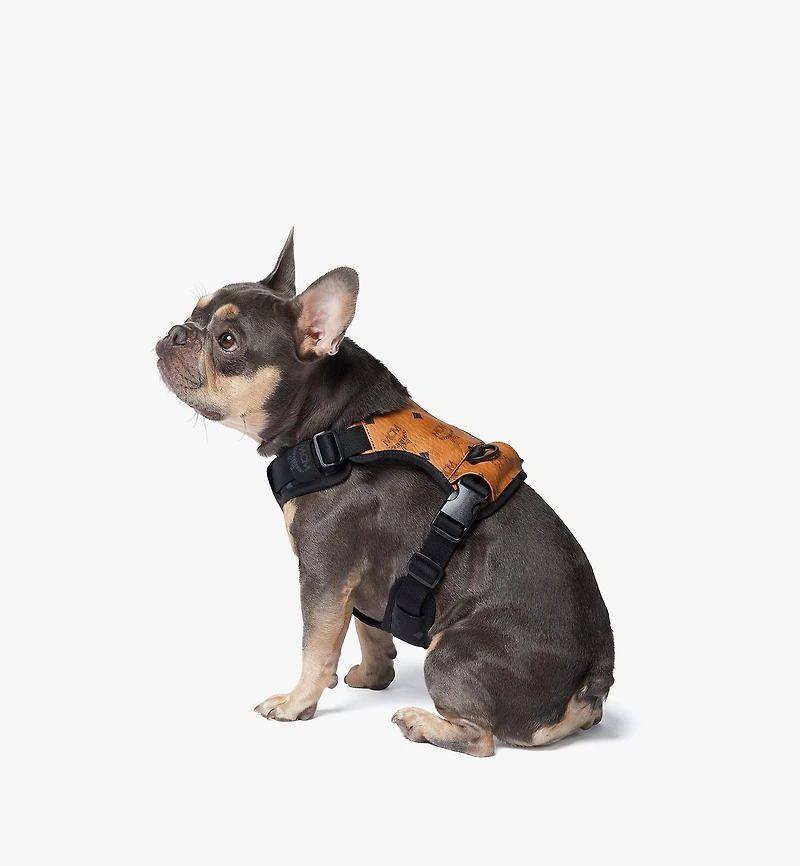 Pet Harness in Visetos