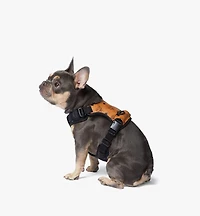 Pet Harness in Visetos