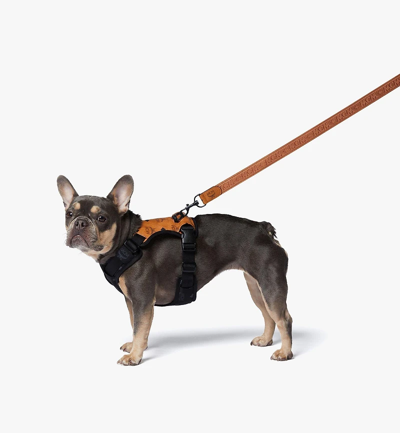Pet Harness in Visetos