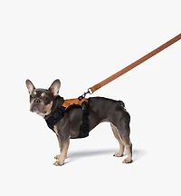 Pet Harness in Visetos