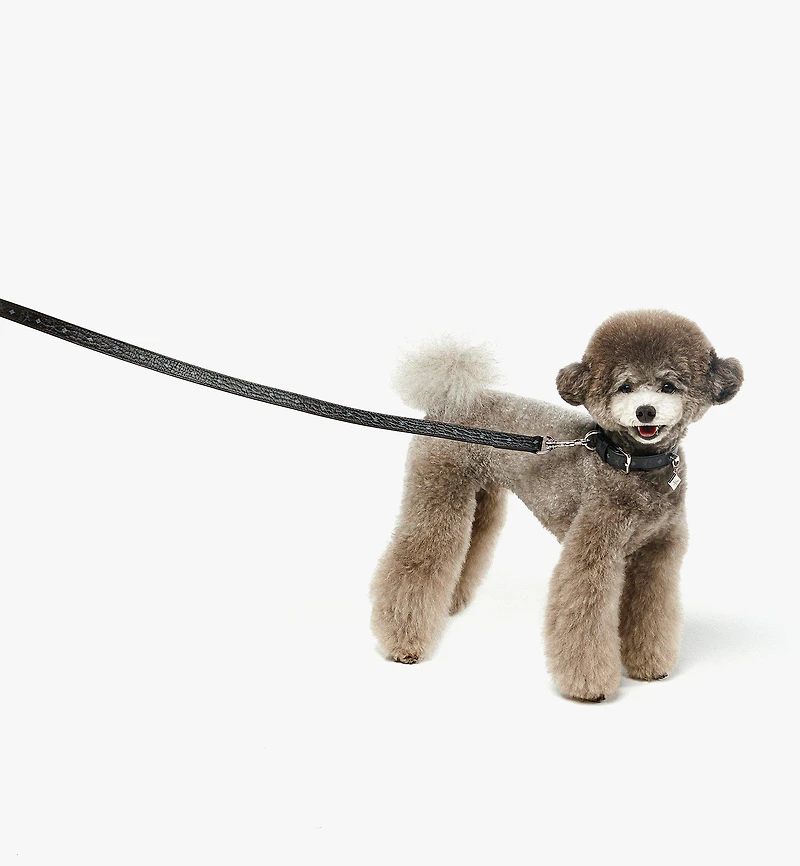 Pet Leash in Monogram Print Leather