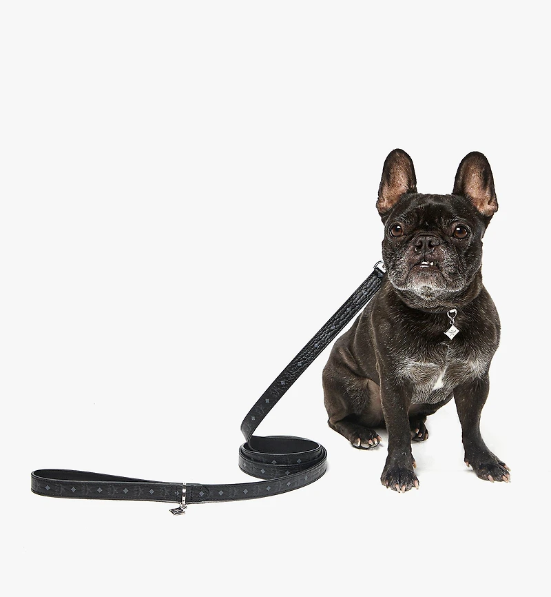 Pet Leash in Monogram Print Leather