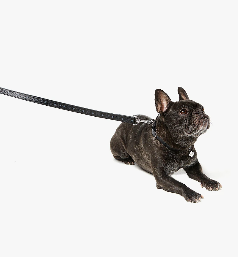 Pet Leash in Monogram Print Leather