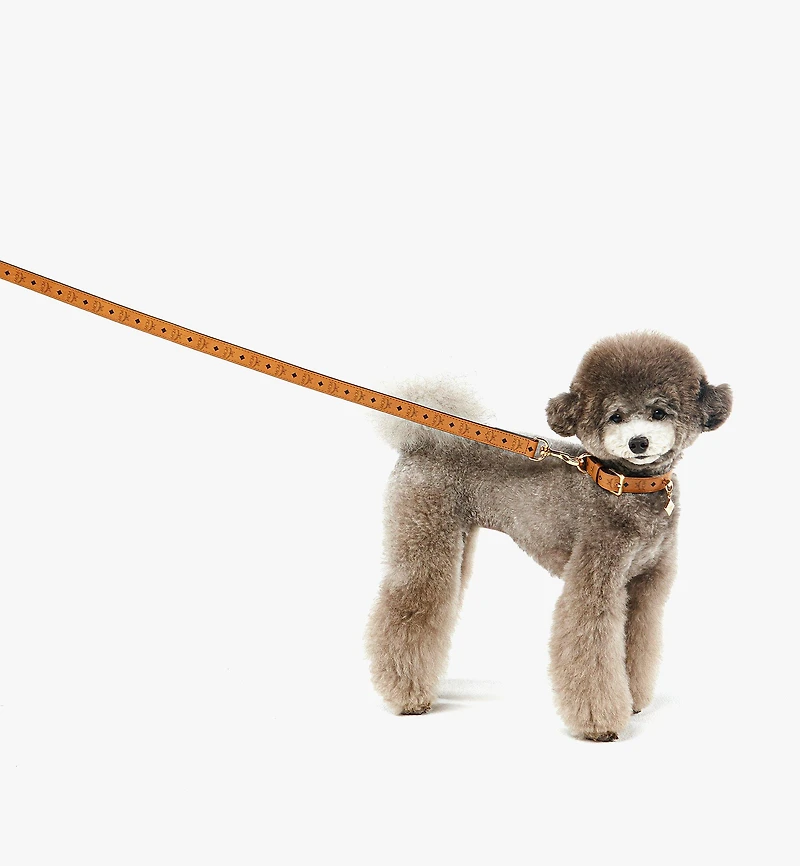 Pet Leash in Monogram Print Leather