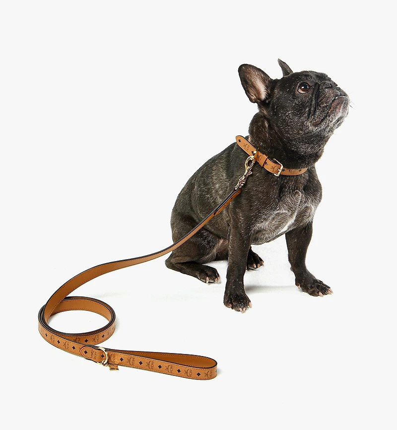Pet Leash in Monogram Print Leather
