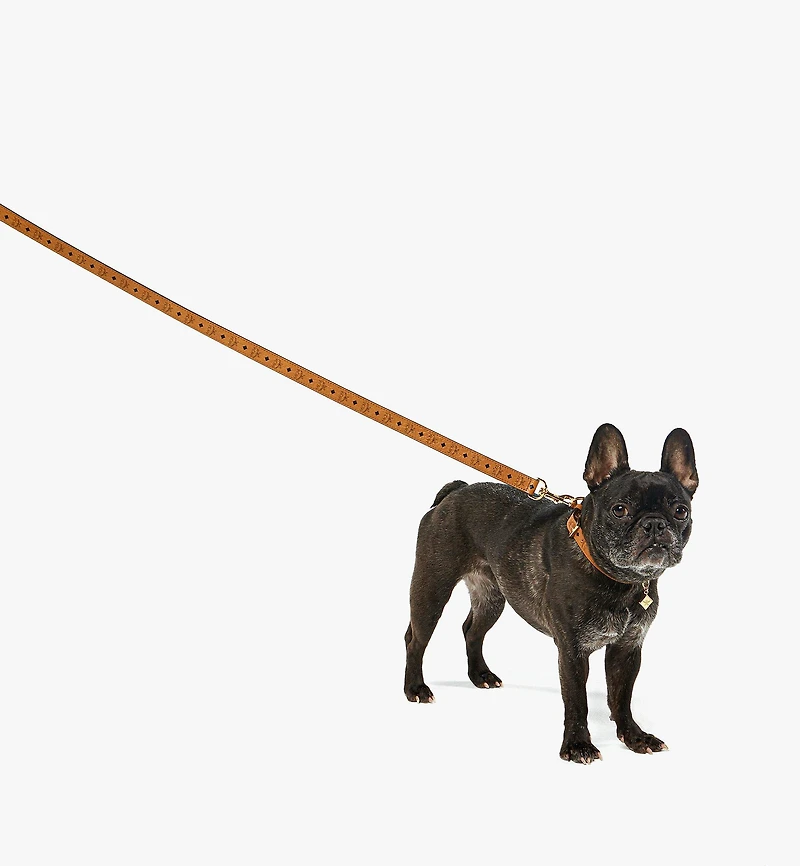 Pet Leash in Monogram Print Leather