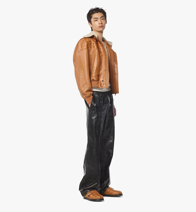 Shearling Bomber Jacket Visetos Leather Mix