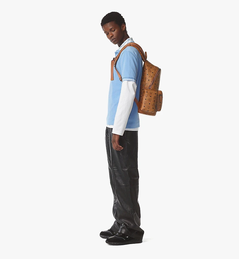 Stark Backpack in Visetos