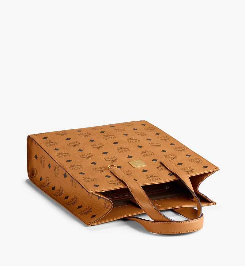 Aren Tote in Visetos