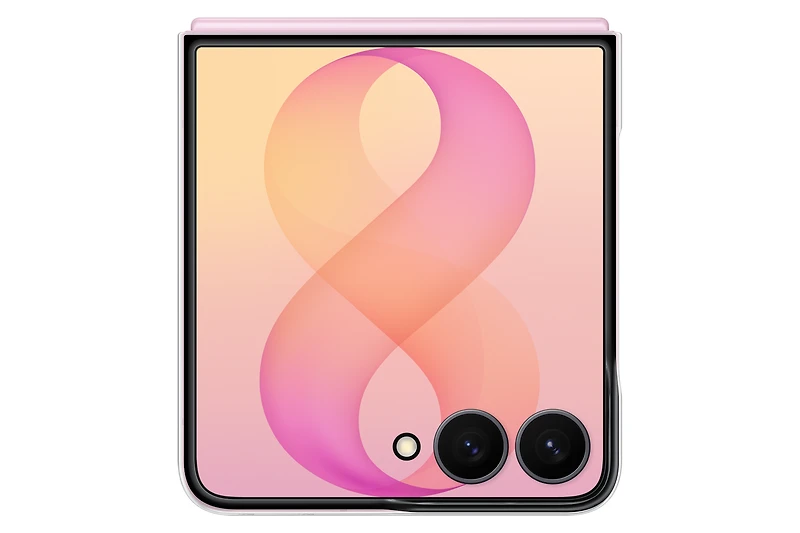 Galaxy Z Flip8 Clear Magnet Case