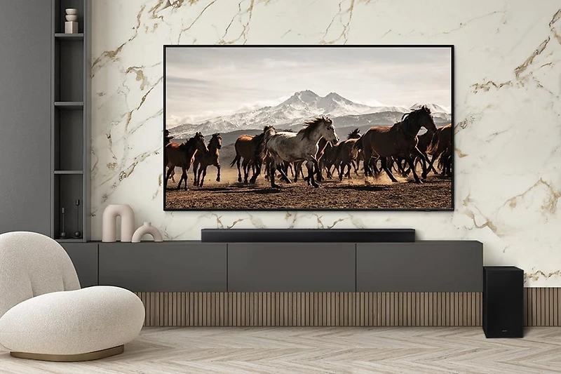 B-series Soundbar HW-B750D 5.1 ch Sub Woofer
