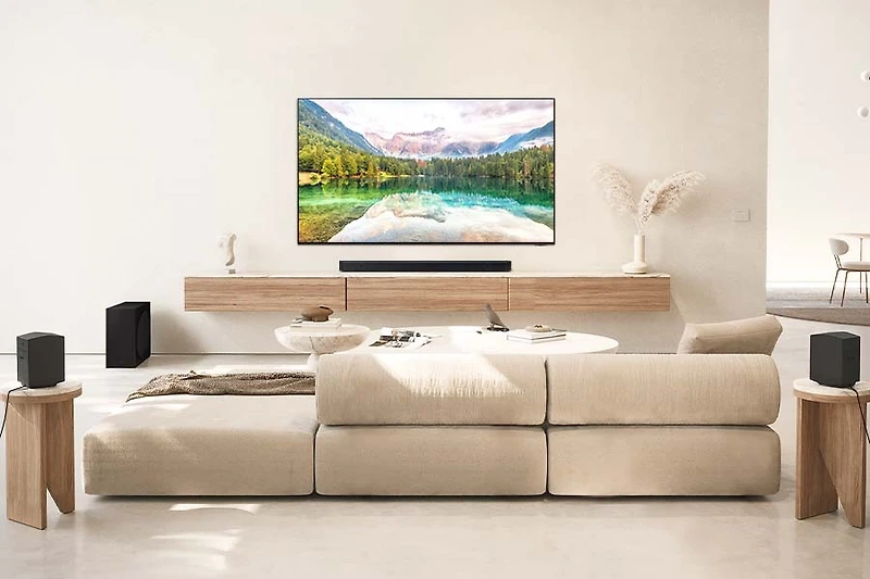 Q-series Soundbar HW-Q910D 9.1.2 ch Sub Woofer & Rear Speaker (2024)
