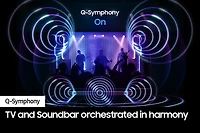 Q-series Soundbar HW-Q910D 9.1.2 ch Sub Woofer & Rear Speaker (2024)