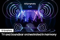 Q-series Soundbar HW-Q930D 9.1.4 ch Sub Woofer & Rear Speaker (2024)