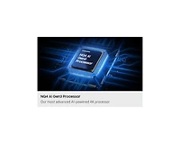 115 Inch Neo QLED 4K QN90F Vision AI Smart TV (2025) | Samsung Canada