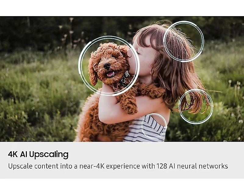 115 Inch Neo QLED 4K QN90F Vision AI Smart TV (2025) | Samsung Canada