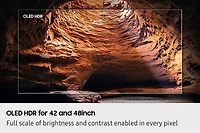 48" OLED S90F 4K Vision AI Smart TV