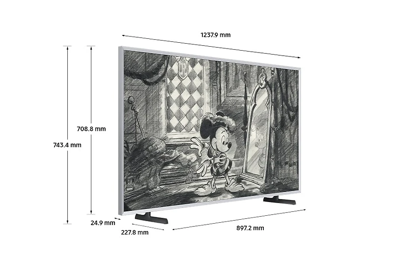 55” The Frame Disney 100 Edition LS03B