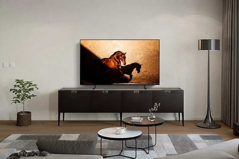 Inch OLED S85D 4K Tizen OS Smart TV