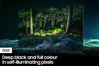 55” OLED 4K Smart TV S95B