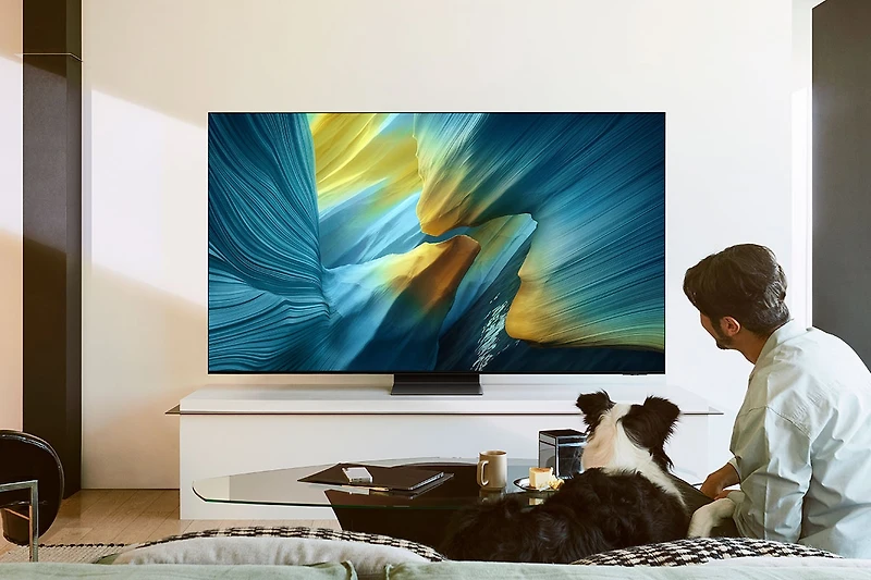 55" OLED S95F 4K Vision AI Smart TV (2025) | Samsung Canada
