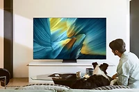 55" OLED S95F 4K Vision AI Smart TV (2025) | Samsung Canada