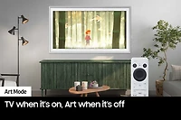 65” The Frame Disney 100 Edition LS03B